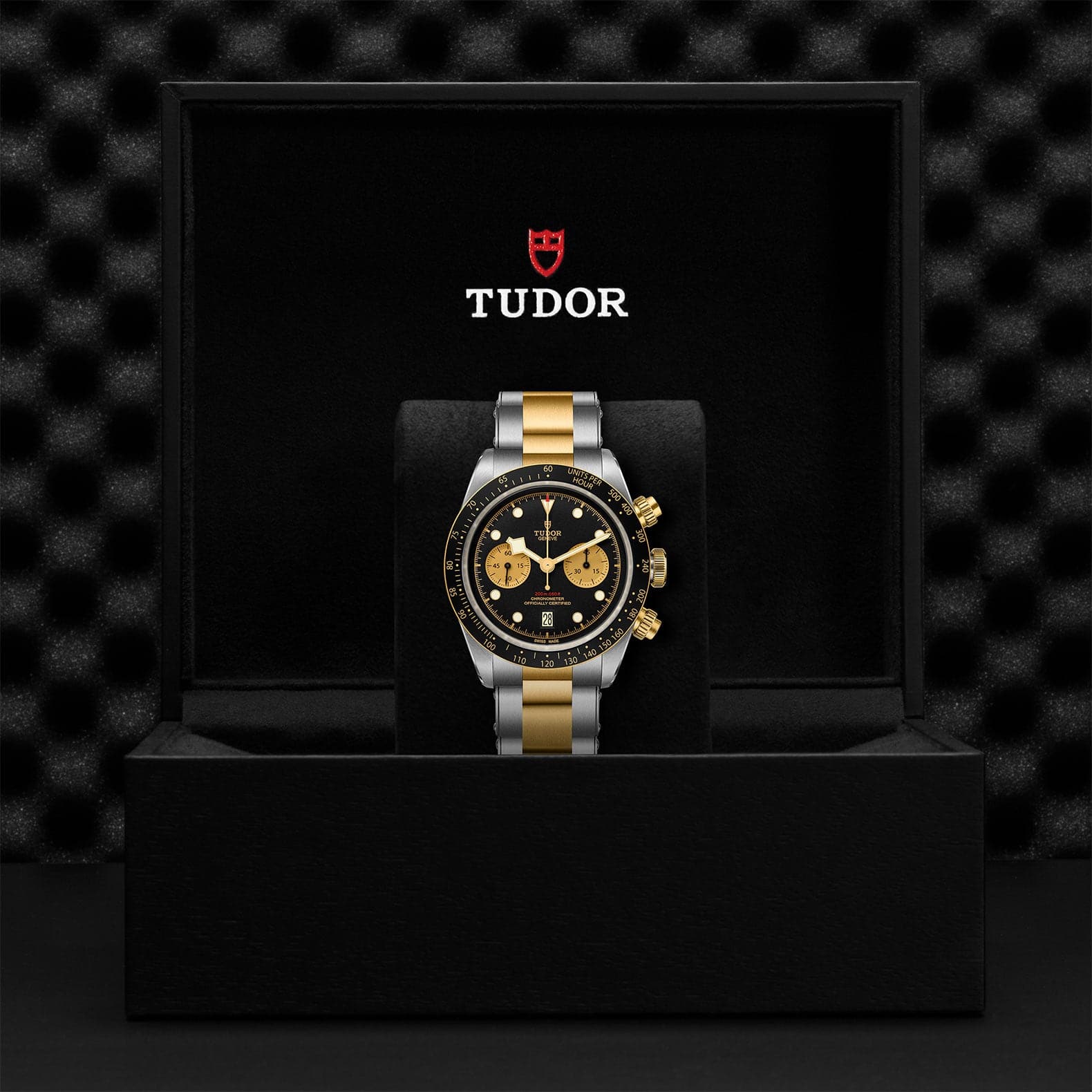 TUDOR Black Bay Chrono S&G – Williams Jewelers