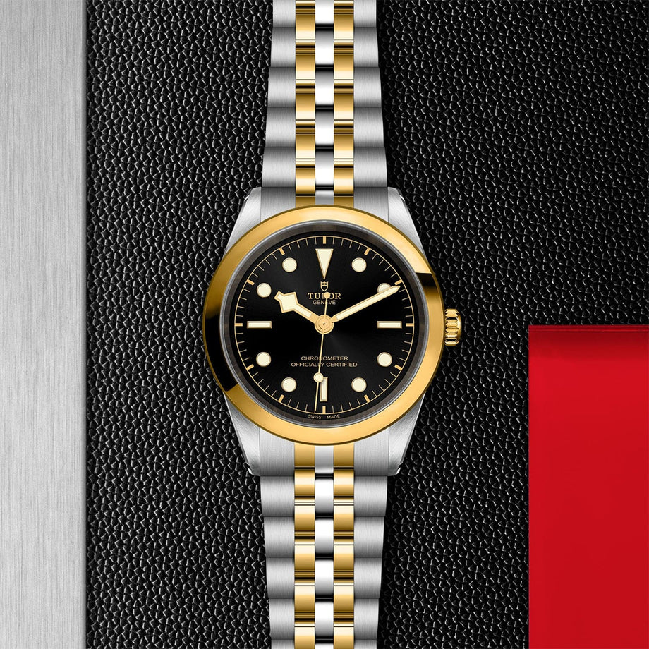 TUDOR Black Bay 41 S&G – Williams Jewelers