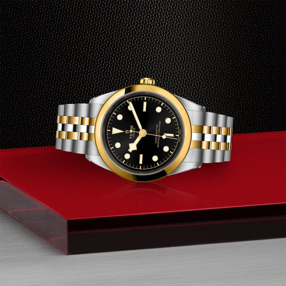 TUDOR Black Bay 41 S&G – Williams Jewelers