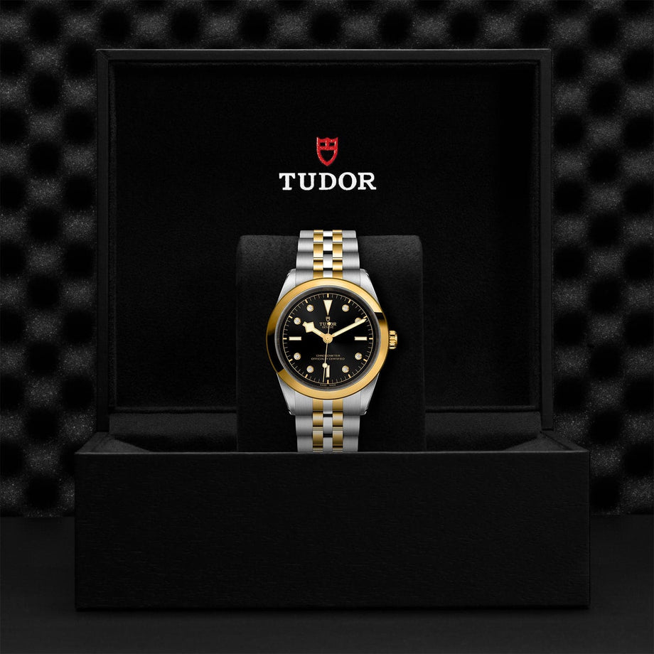 TUDOR Black Bay 41 S&G – Williams Jewelers 