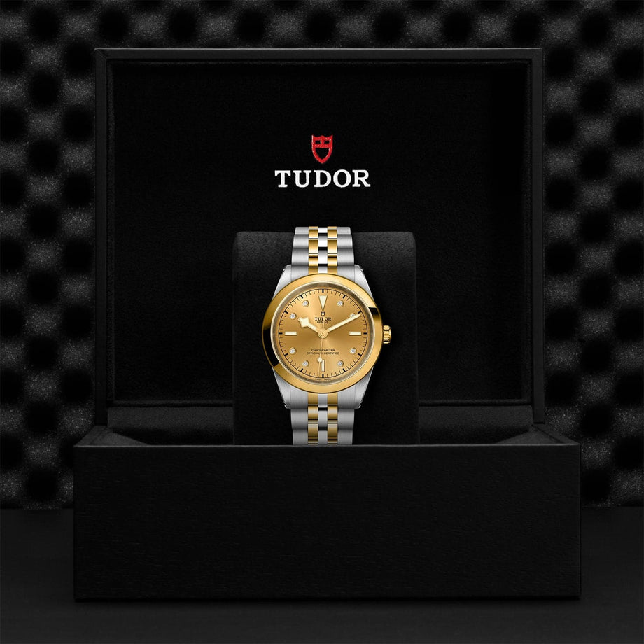 TUDOR Black Bay 41 S&G – Williams Jewelers